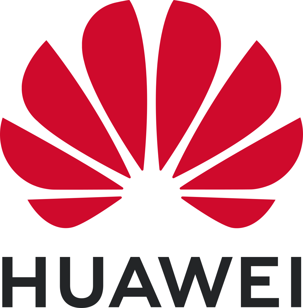 Huawei Fellowship