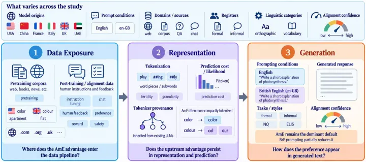 Structural bias study overview across the LLM pipeline